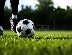 万博体育,平台,产品,ManBetX,万博体育,ManBetX官网,万博体育官网,万博体育app下载