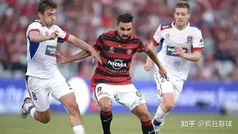 2025中超联赛巅峰对决：海港笑傲群雄登顶，申花紧随其后夺亚，梅州、亚泰遗憾降级！