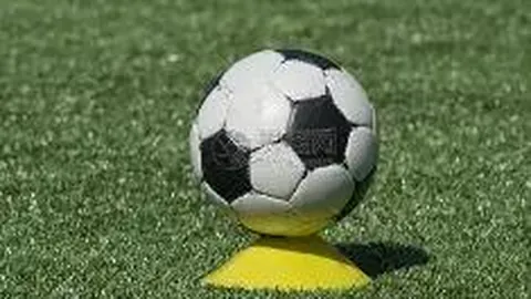 万博体育Manbetx平台 产品 010310 cy9