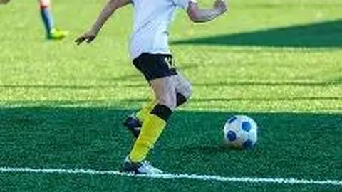 李亚鹏就加盟李子柒团队传闻首度发声